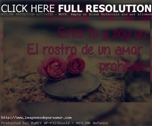 Frases Romanticas Con Imagenes Rosas